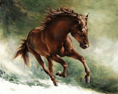 Free Spirit