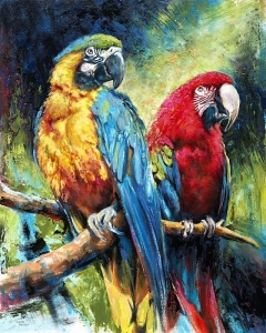 Two Parrots